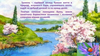 Презентація на тему : "Зустрічаємо травень".